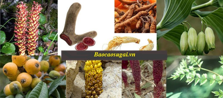 thuoc-cuong-duong-ngua-thai-700mg, hỗ trợ cường dương chống xuất tinh sớm