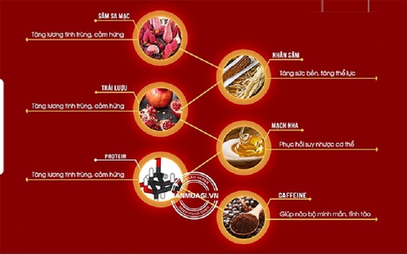 trị xuất tinh sớm cho nam, trị xuất tinh sớm bằng kẹo ngậm hamer, chống xuất tinh sớm